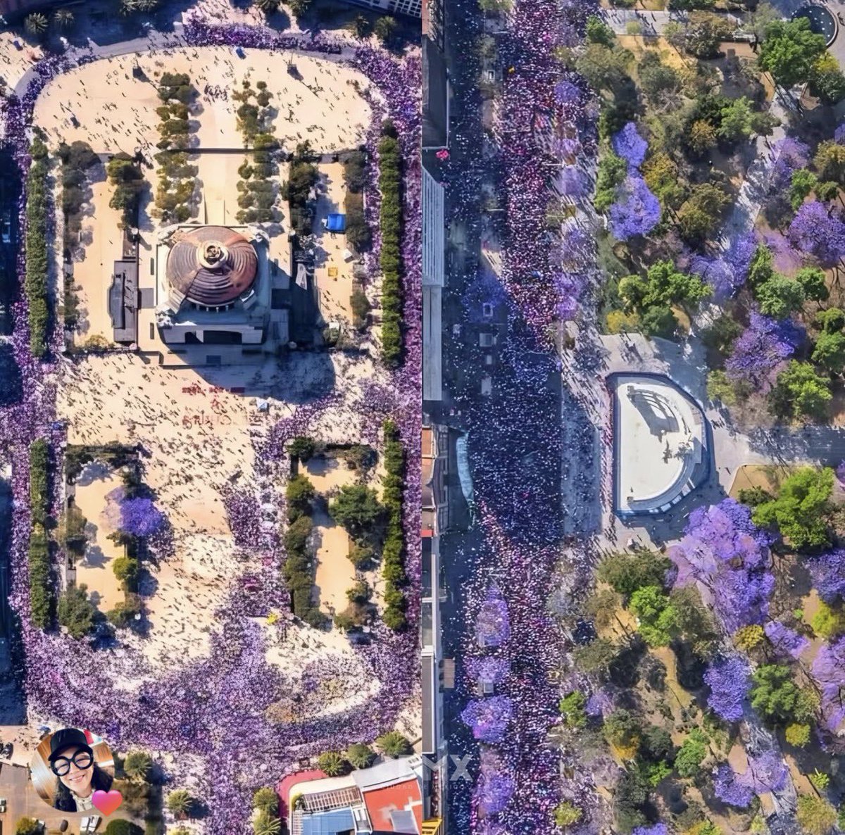 Daniela Castell tweet media