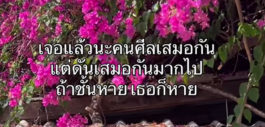 ช่างแม่ง🐰🏳️‍🌈 tweet media