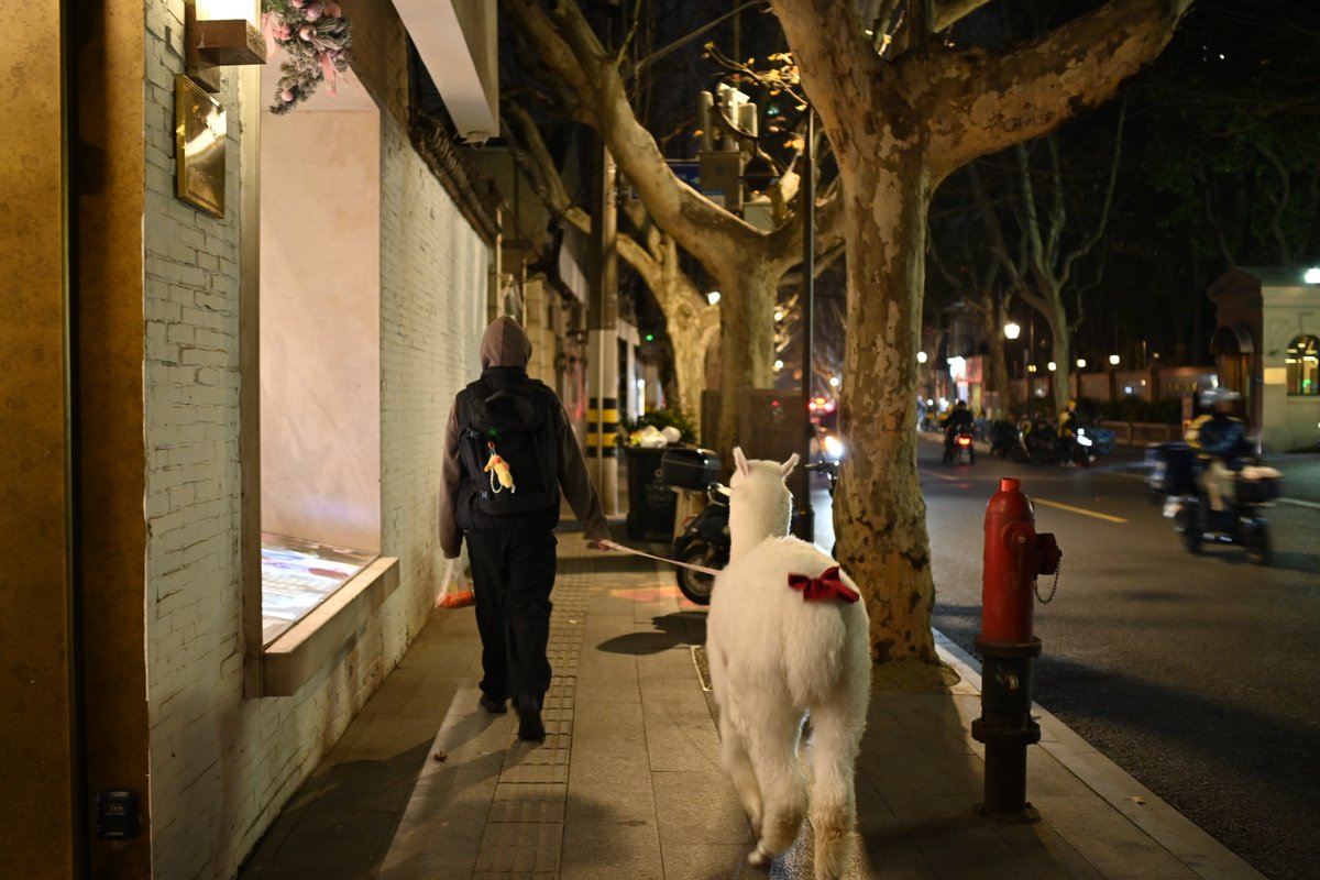 宁宁_爱生活 tweet media