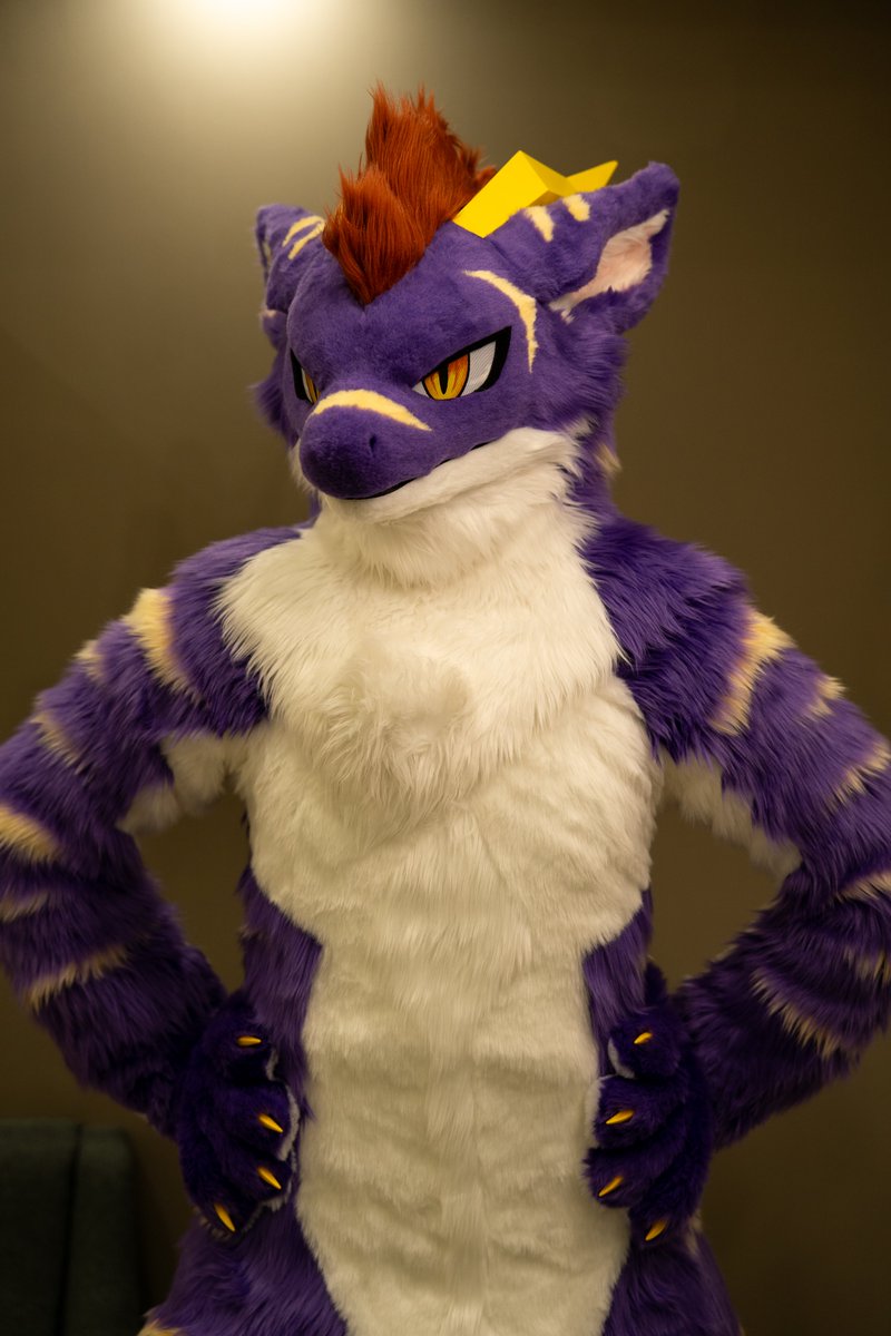 Feld フェルド → UTFG 2026 tweet media