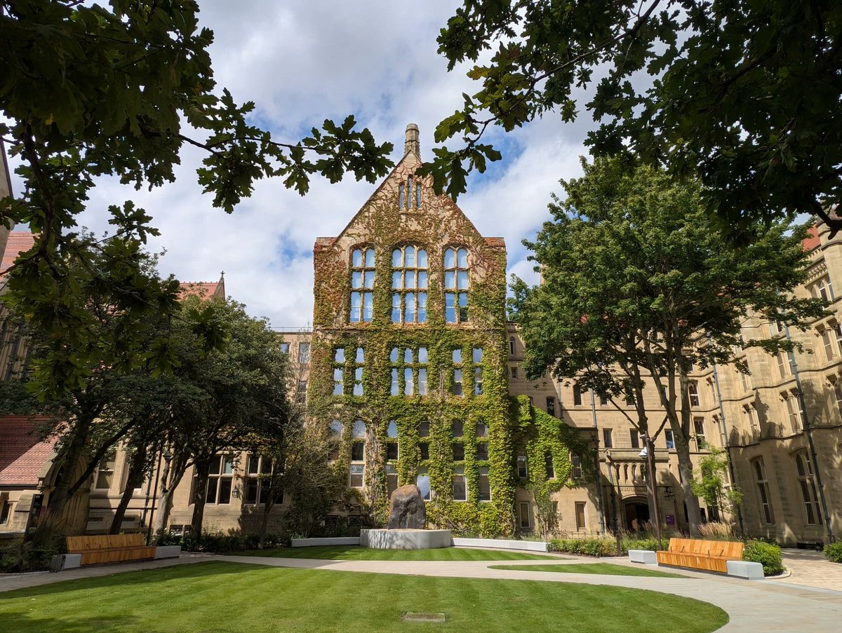 Silviya Nitsova tweet media