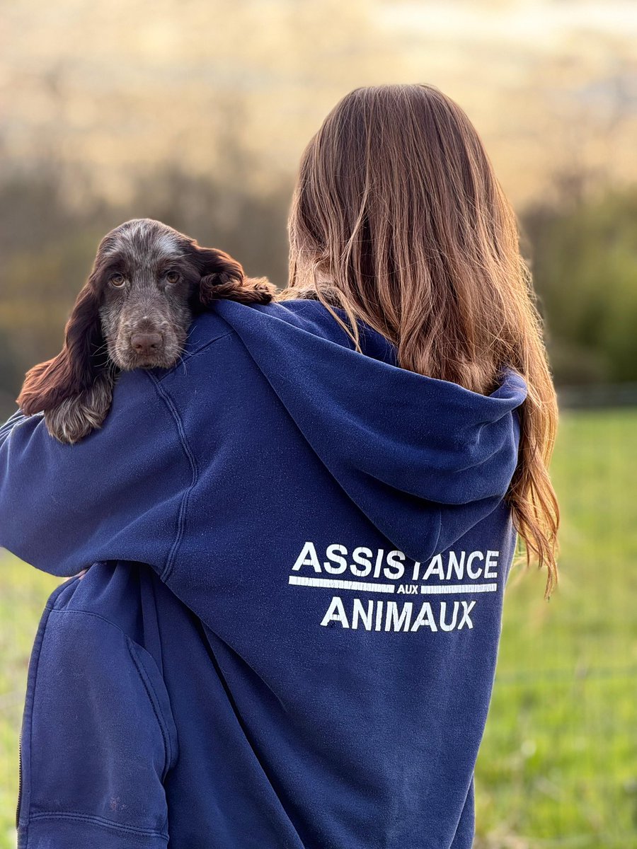 Fondation Assistance Aux Animaux tweet media