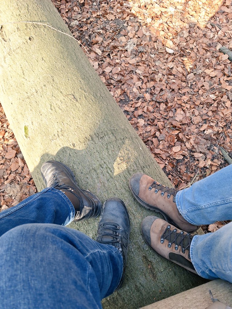 max342le's tweet photo. Die Meindl in schwer und leicht beim Spaziergang... https://t.co/cL8ogPRdfz