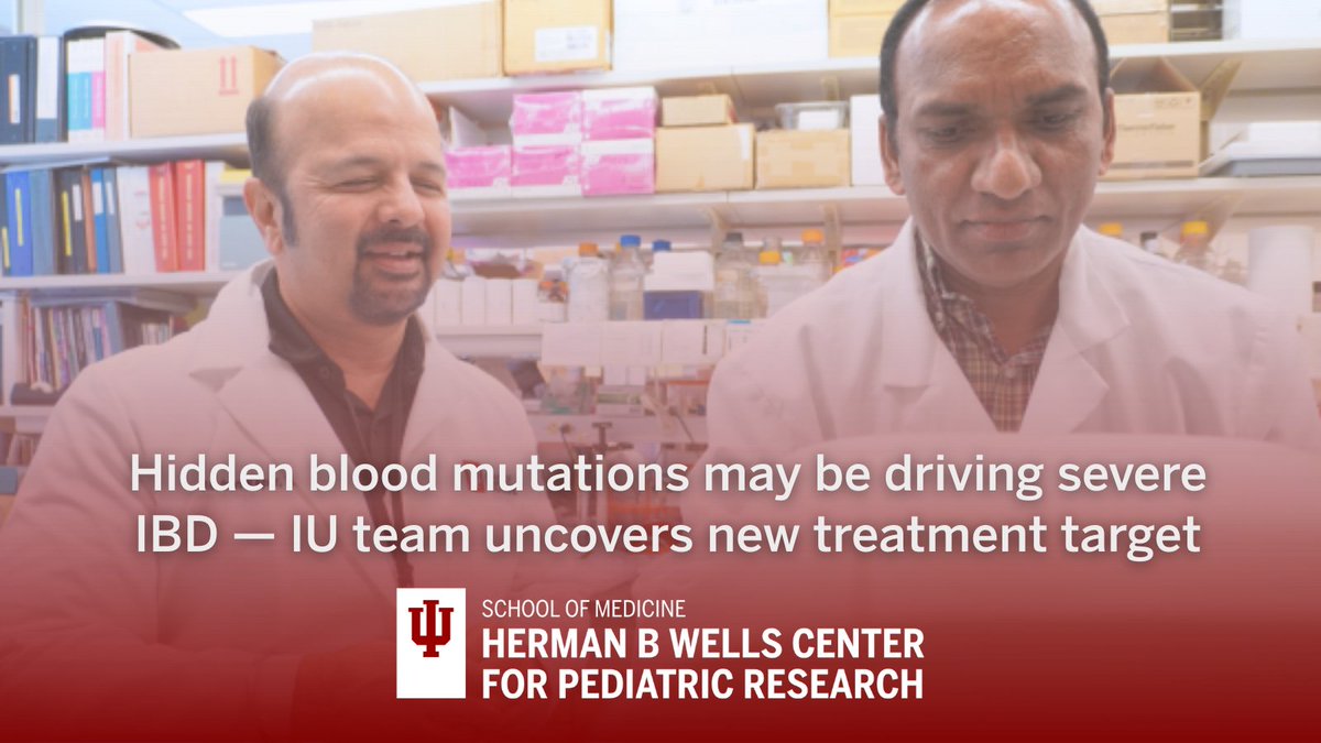 IUWellsCenter's tweet photo. New @IUMedSchool research has linked an age-related blood condition to IBD severity and discovered it may be reversible with a new treatment strategy. This work could help millions with Crohn’s &amp; colitis, and potentially other inflammation-driven diseases.
https://t.co/jnfZScqvKk https://t.co/xQqwZFsPvx