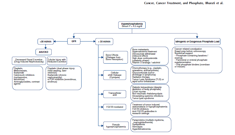 HofNorthwell Kidney tweet media