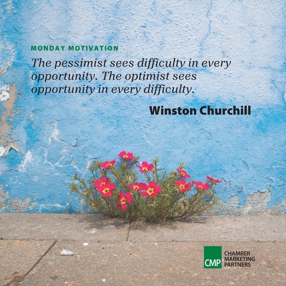 ChamberMarket's tweet photo. Did you know that low levels of pessimism, rather than high levels of optimism, have actually been associated with better health? #MondayMotivation https://t.co/bemuPg0RnK