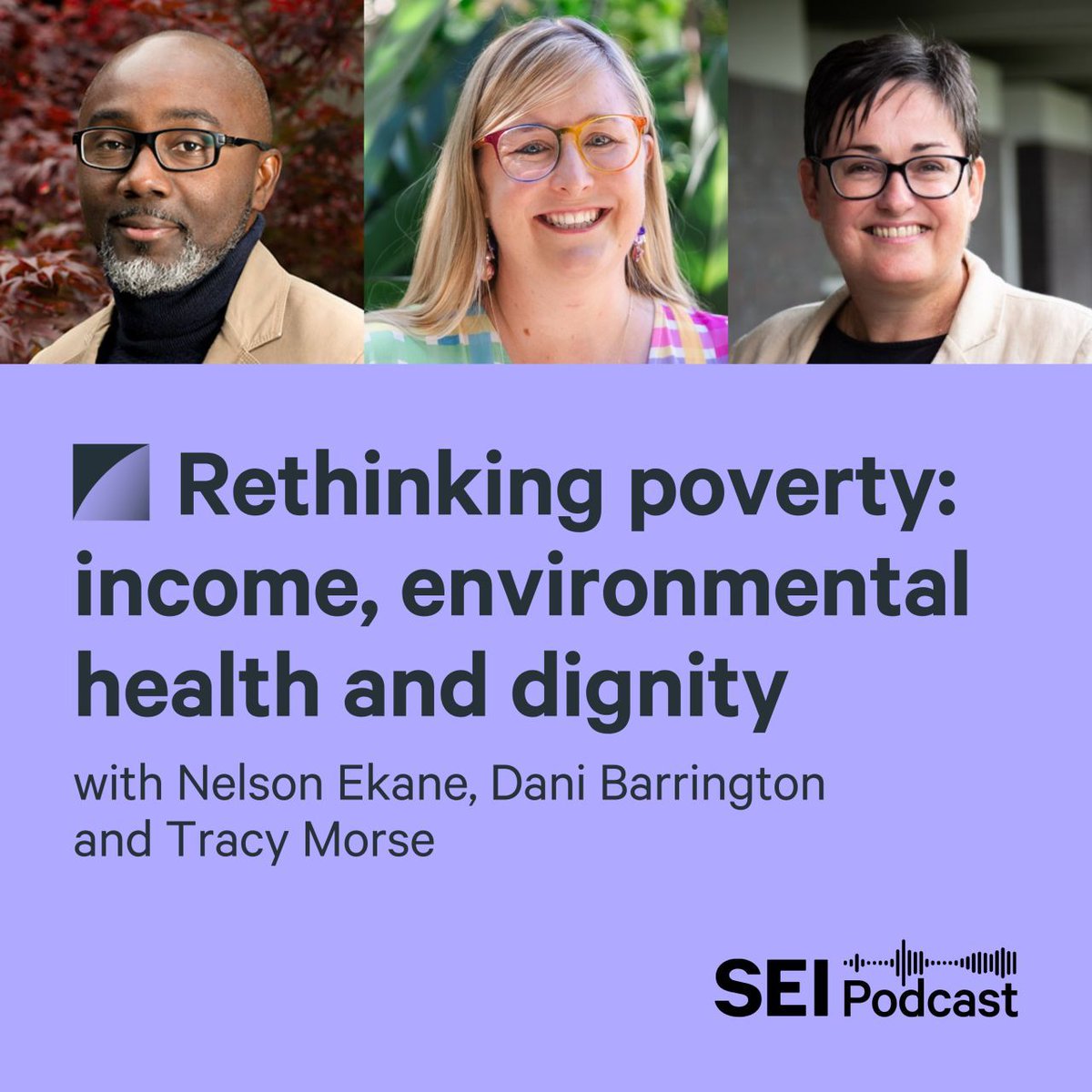 Stockholm Environment Institute (SEI) tweet media