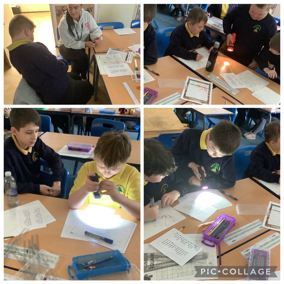 Maple Year 5 tweet media