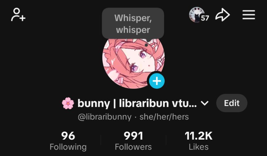 bunny 🌸📚 libraribun vtuber! tweet media