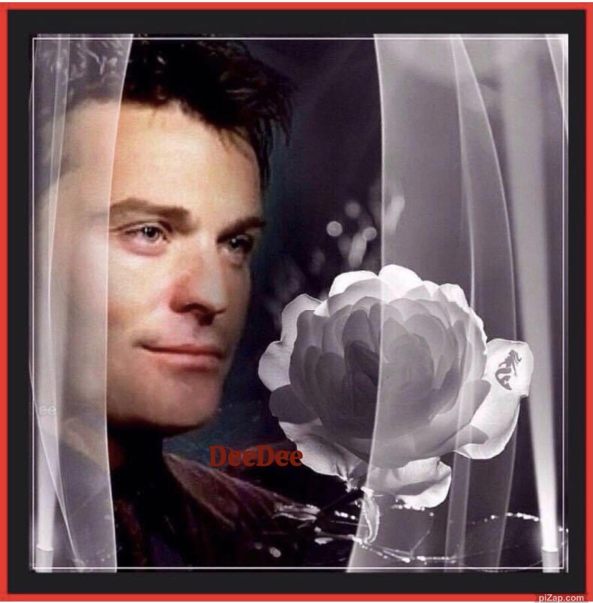 DeeDee Hayes tweet media