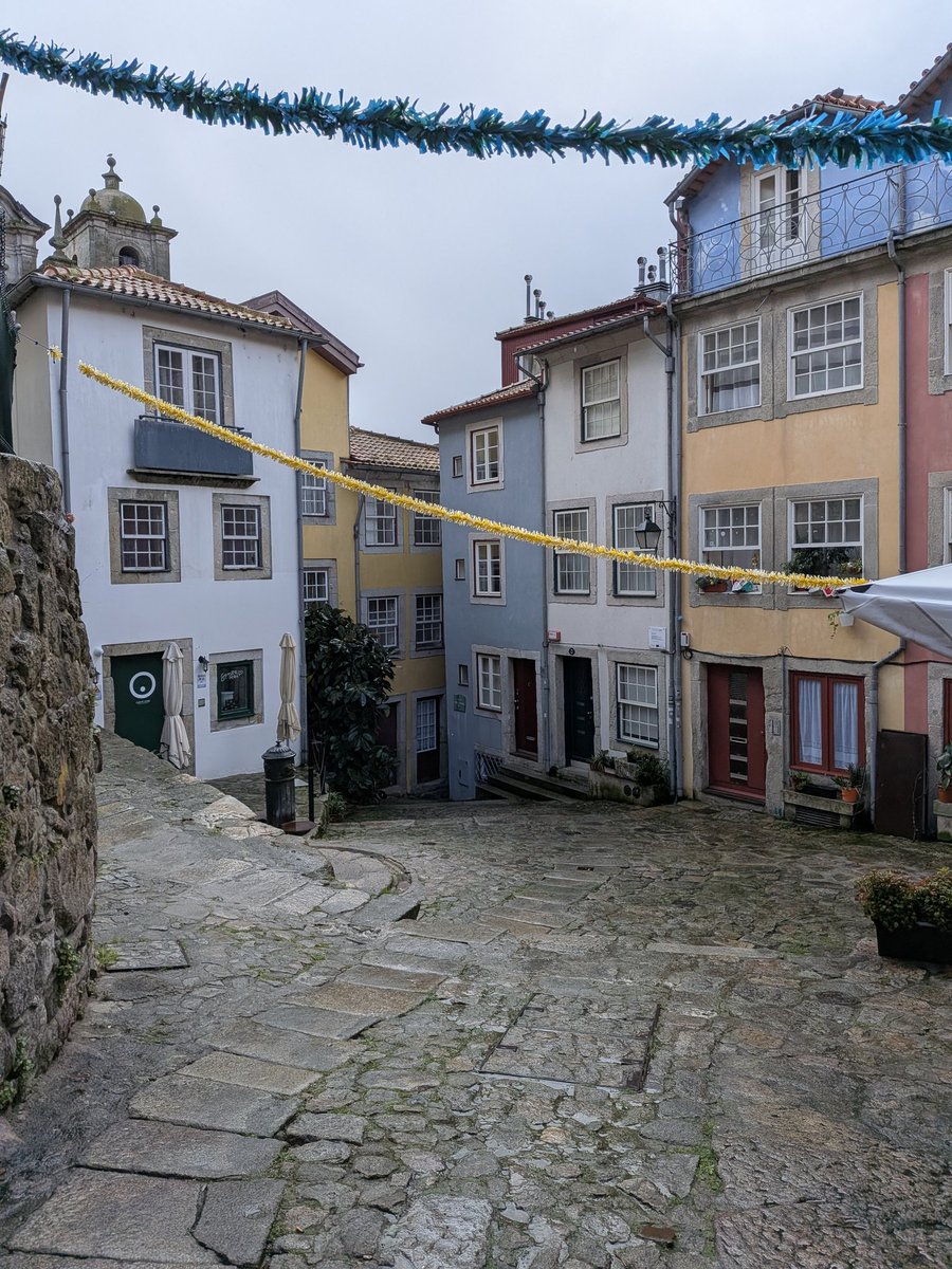 Robbie 🇵🇸🇾🇪 tweet media