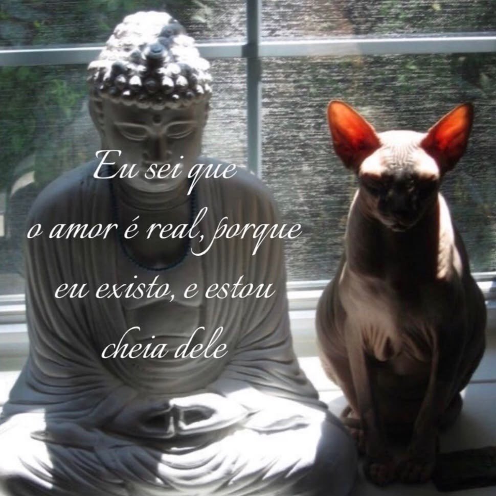 mystical ♒︎ mirror (@omisticismo) on Twitter photo 