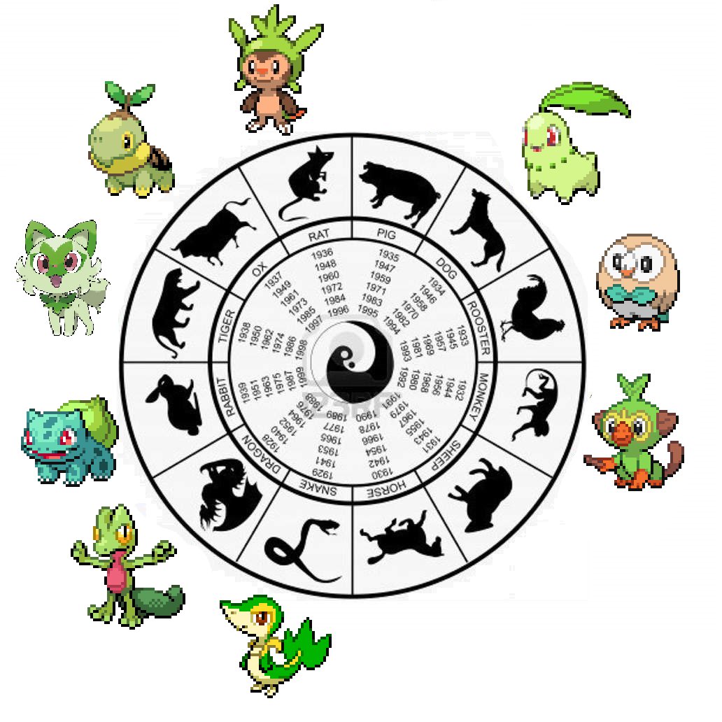 Vida de Treinador tweet media