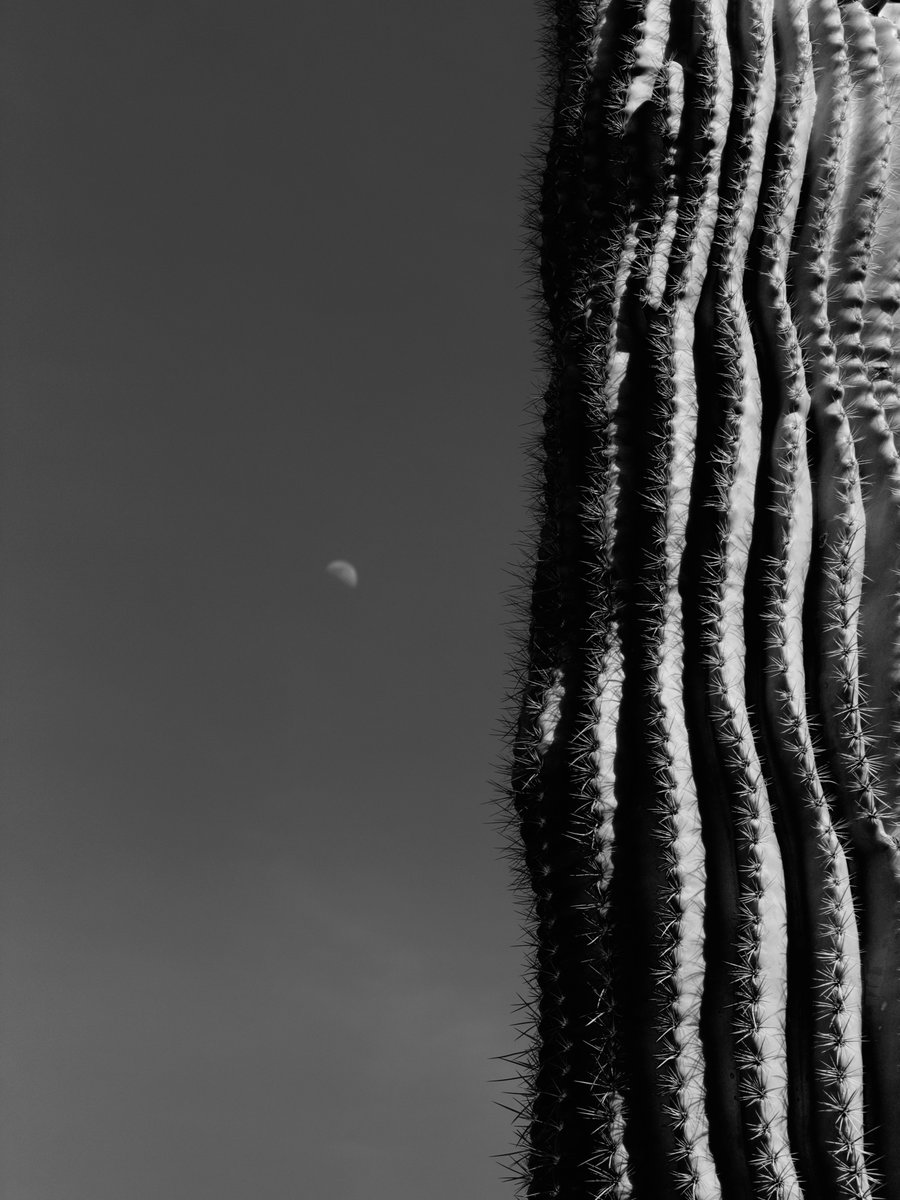 Andy Allen tweet media