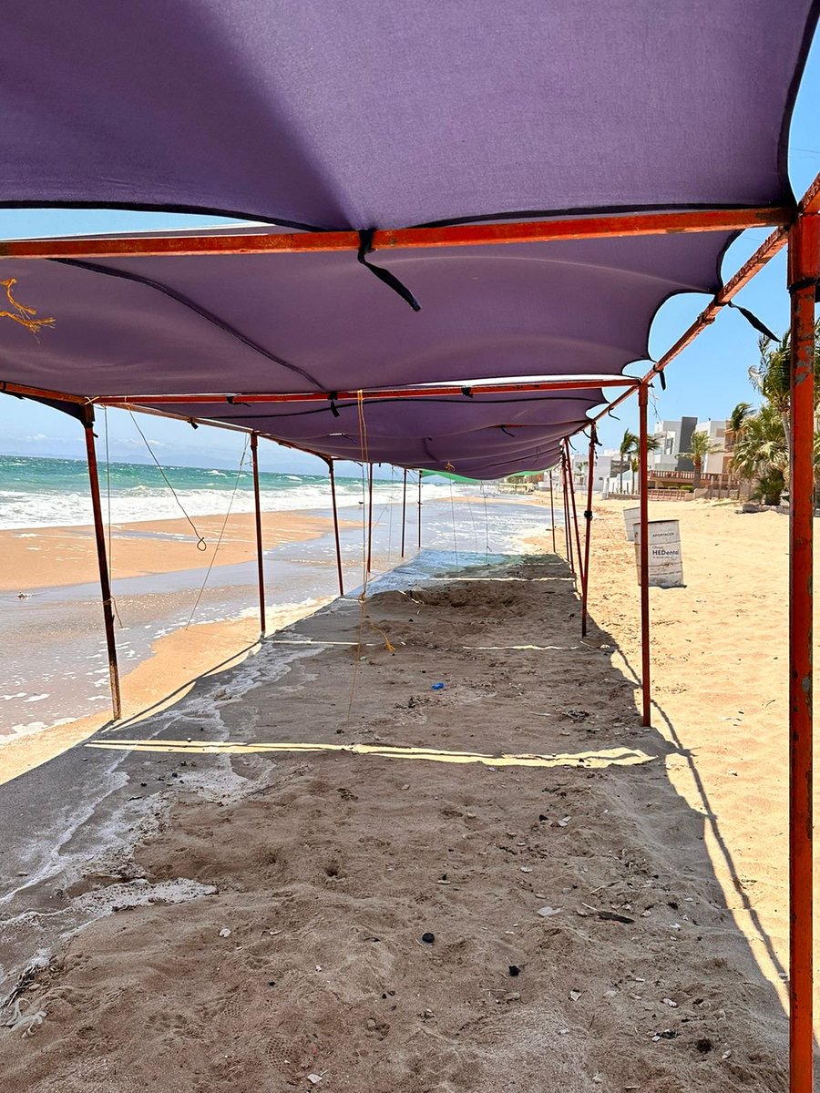 Luis Alberto Medina tweet media