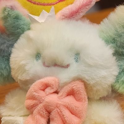 에치영 tweet media