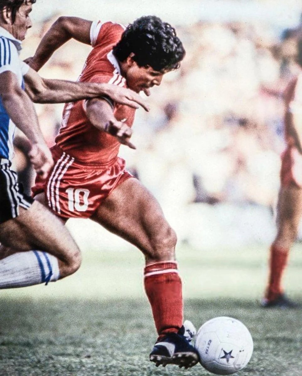 Momentos del bicho tweet media