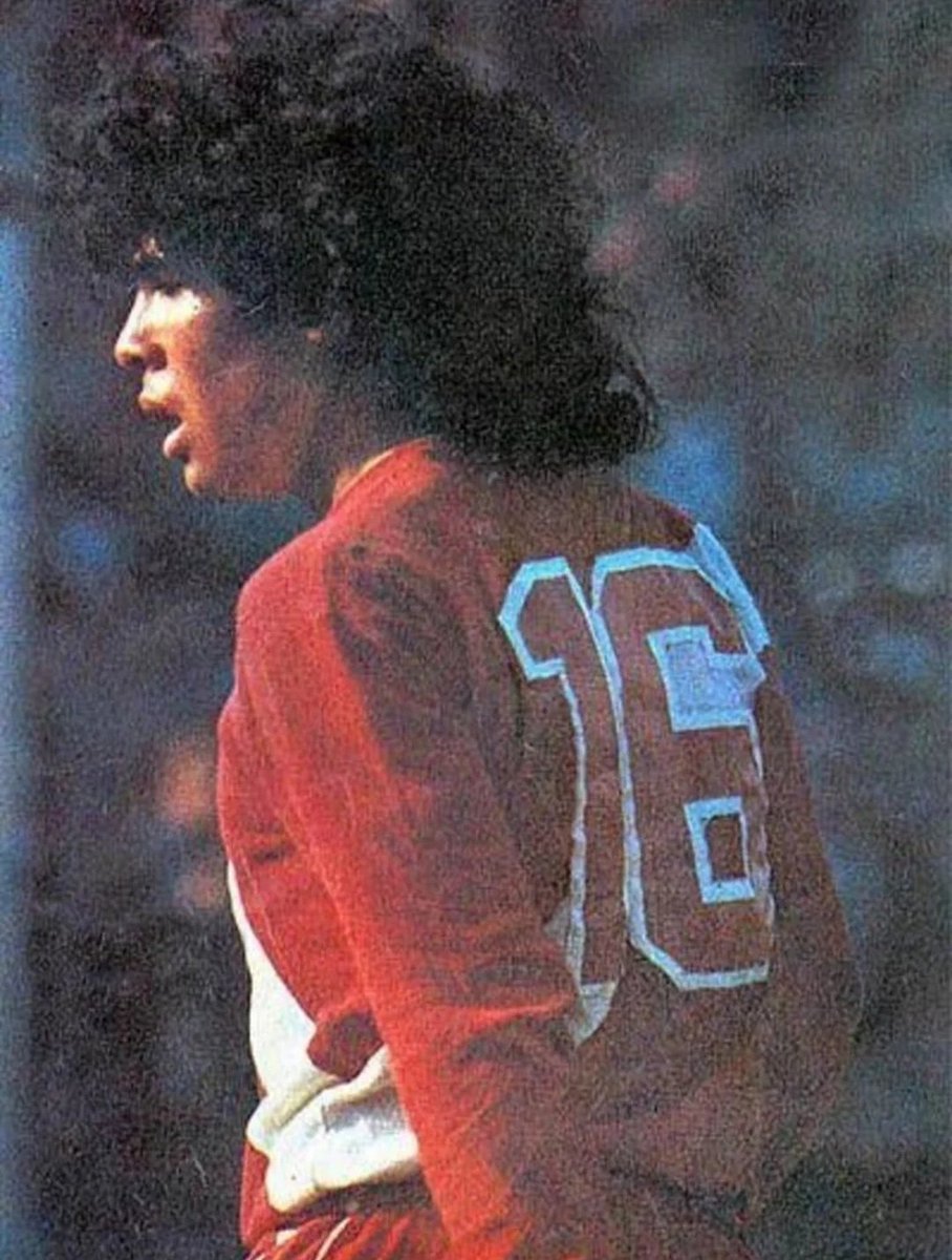 Momentos del bicho tweet media