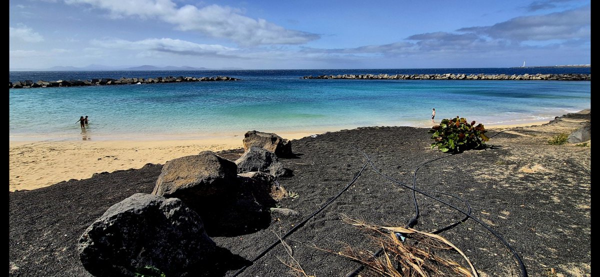 Tim Thorley 🇪🇺🇬🇧🇺🇦🚴🥃 tweet media