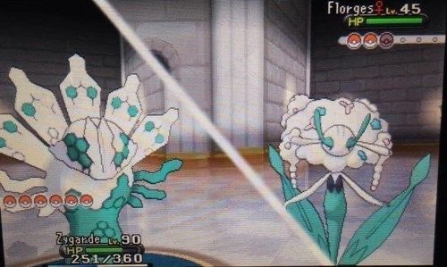 Sinnoh🌙 tweet media