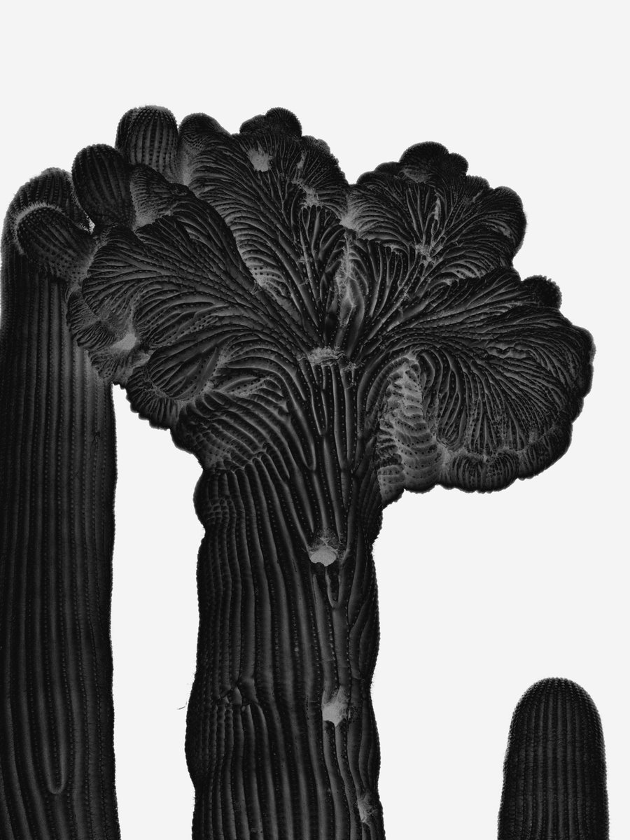 Andy Allen tweet media