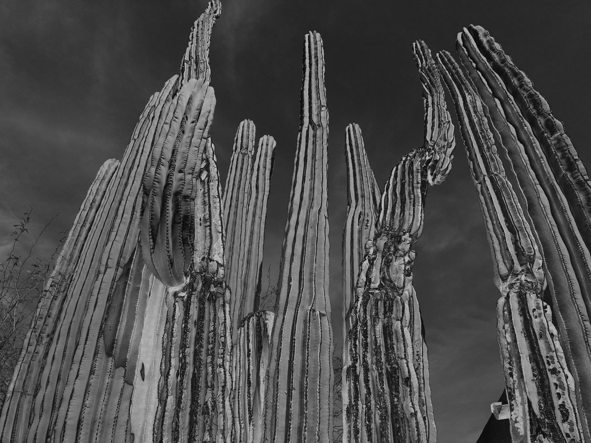 Andy Allen tweet media