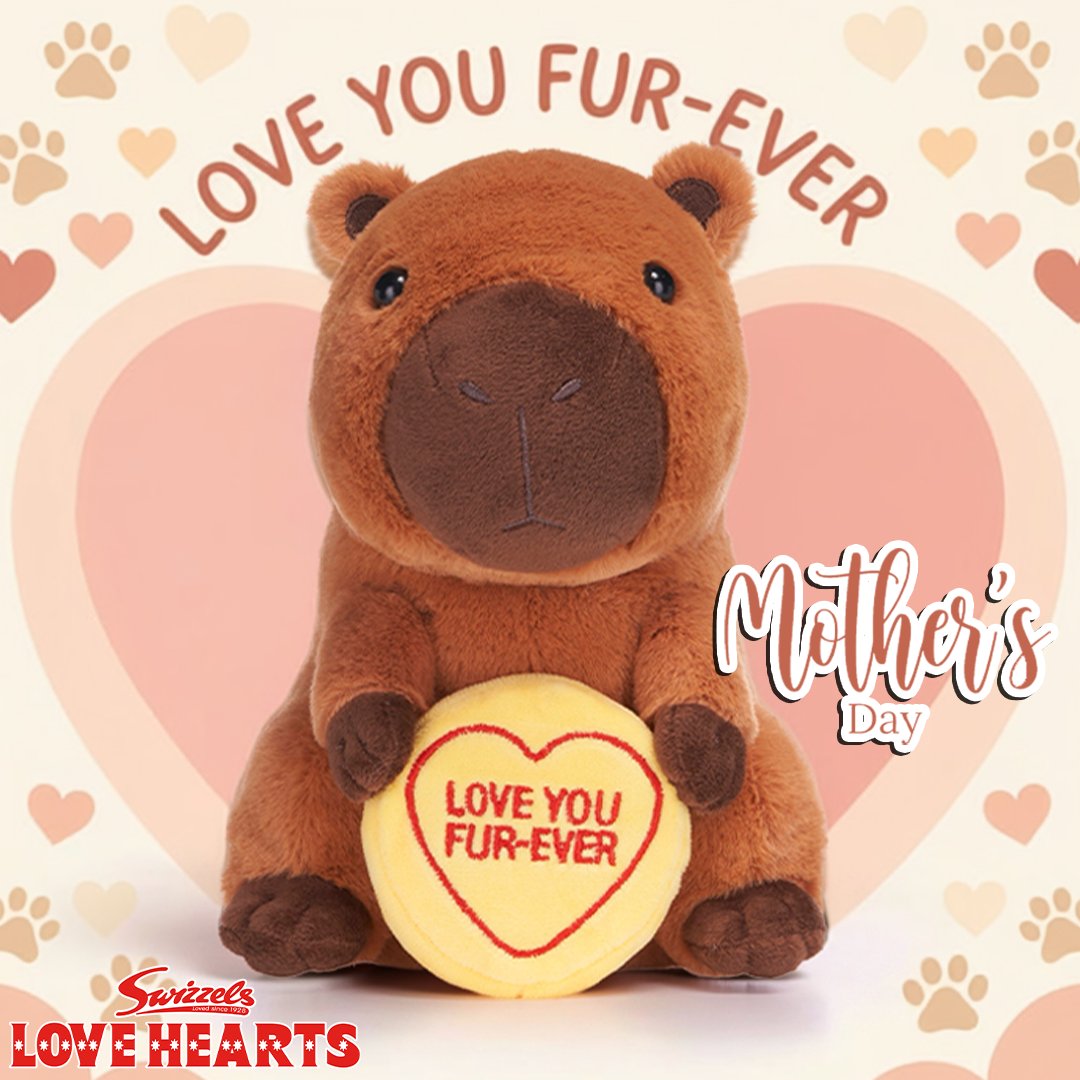 Posh Paws Int tweet media