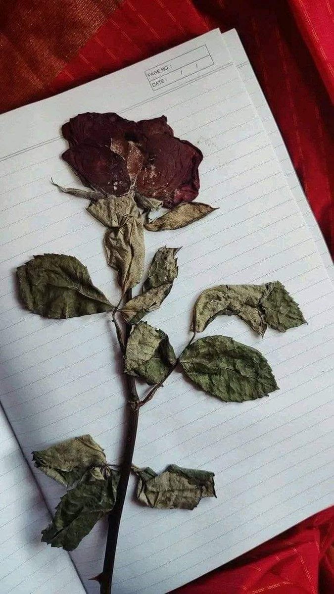 "प्रेम" 
        अक्सर......💓

"स्मृतियों" में ही.,
                          सुखद....💓

और.....

"विरह " में ही,
                       पूर्ण होता है......💓