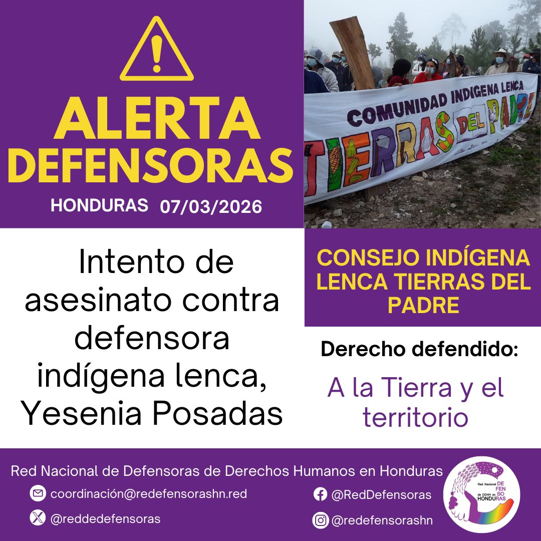 IM-Defensoras tweet media