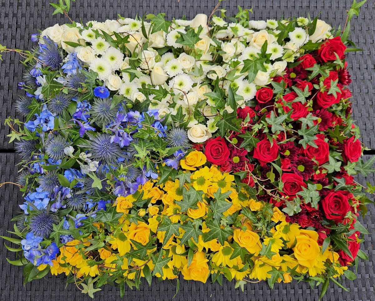 Donna Beaver 💙 tweet media