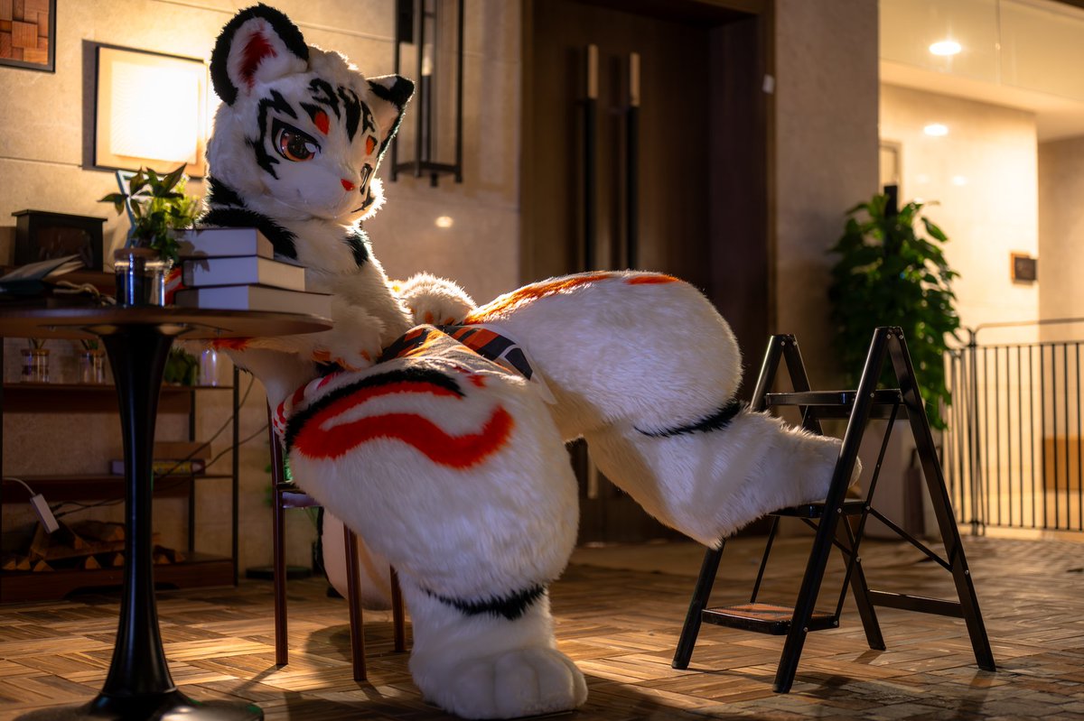 秋橙🍊あきとら tweet media