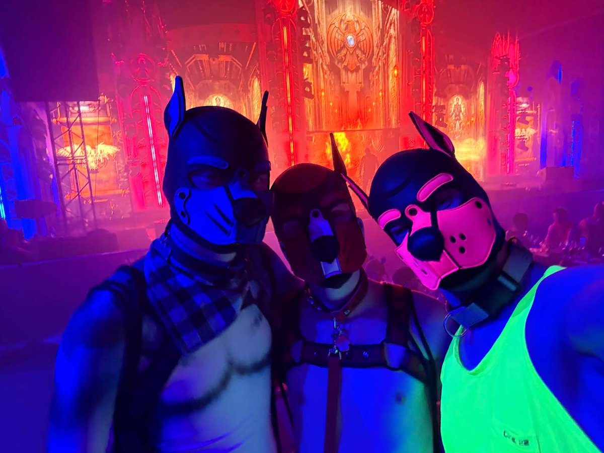 Dash 🇳🇱 tweet media