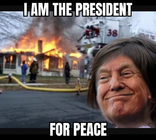 Elizabeth Gross tweet media