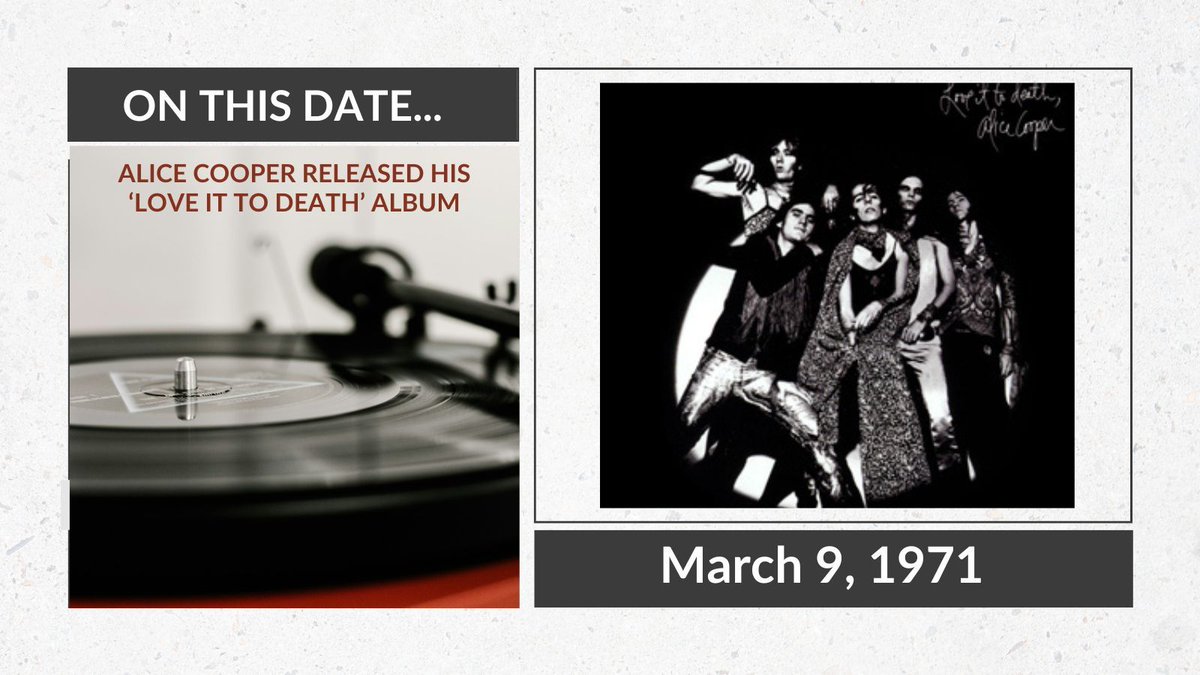 Truman🐱🐾 tweet media