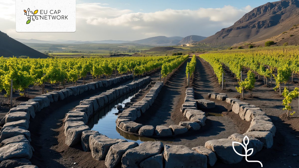 EU CAP Network tweet media