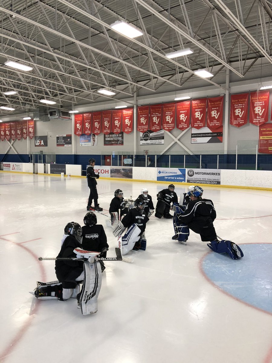 World Pro Goaltending tweet media