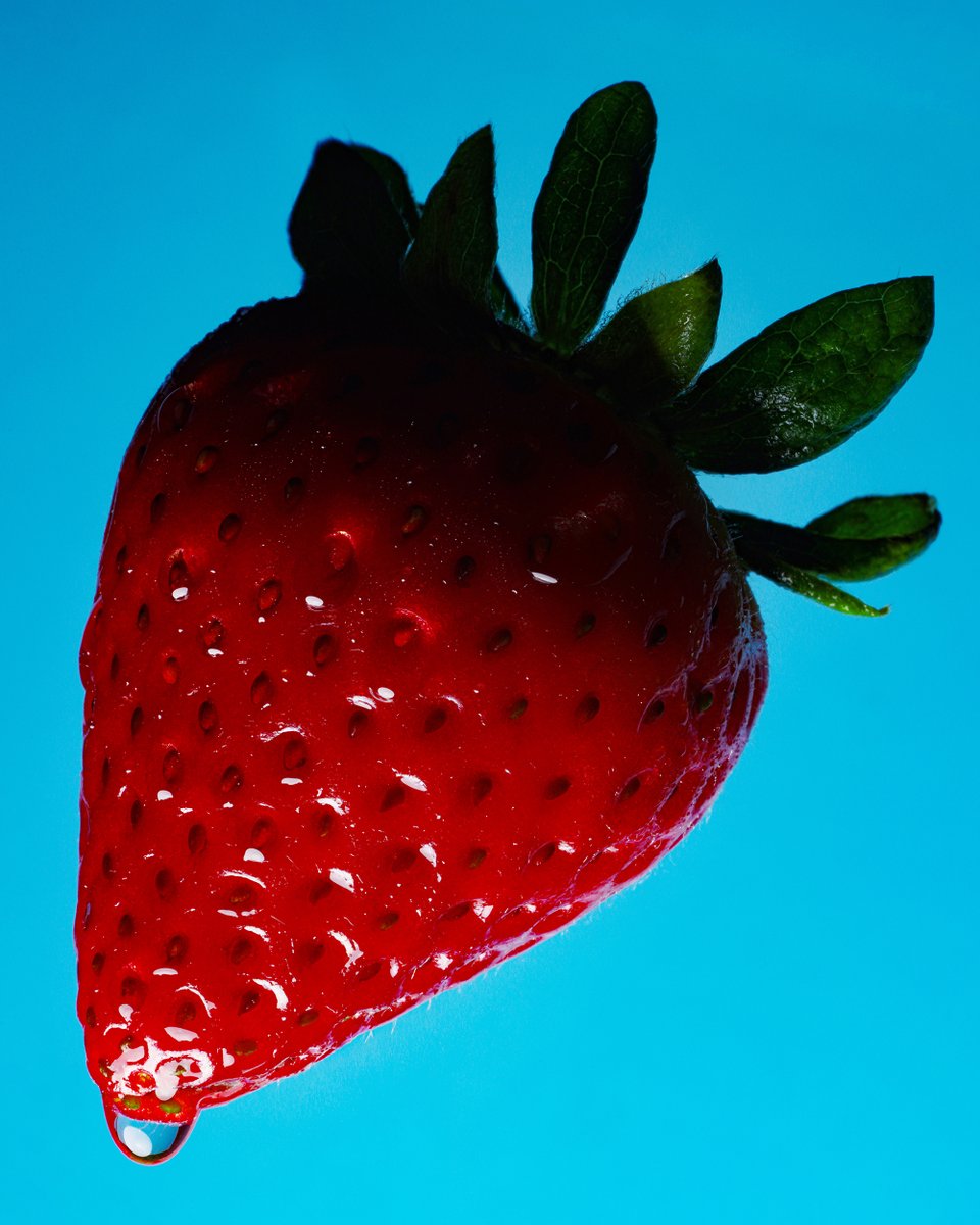 Brian Vu tweet media