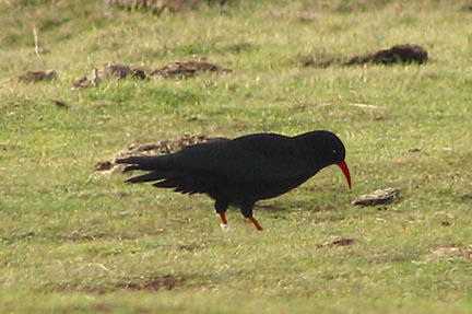 Jeff Hazell tweet media