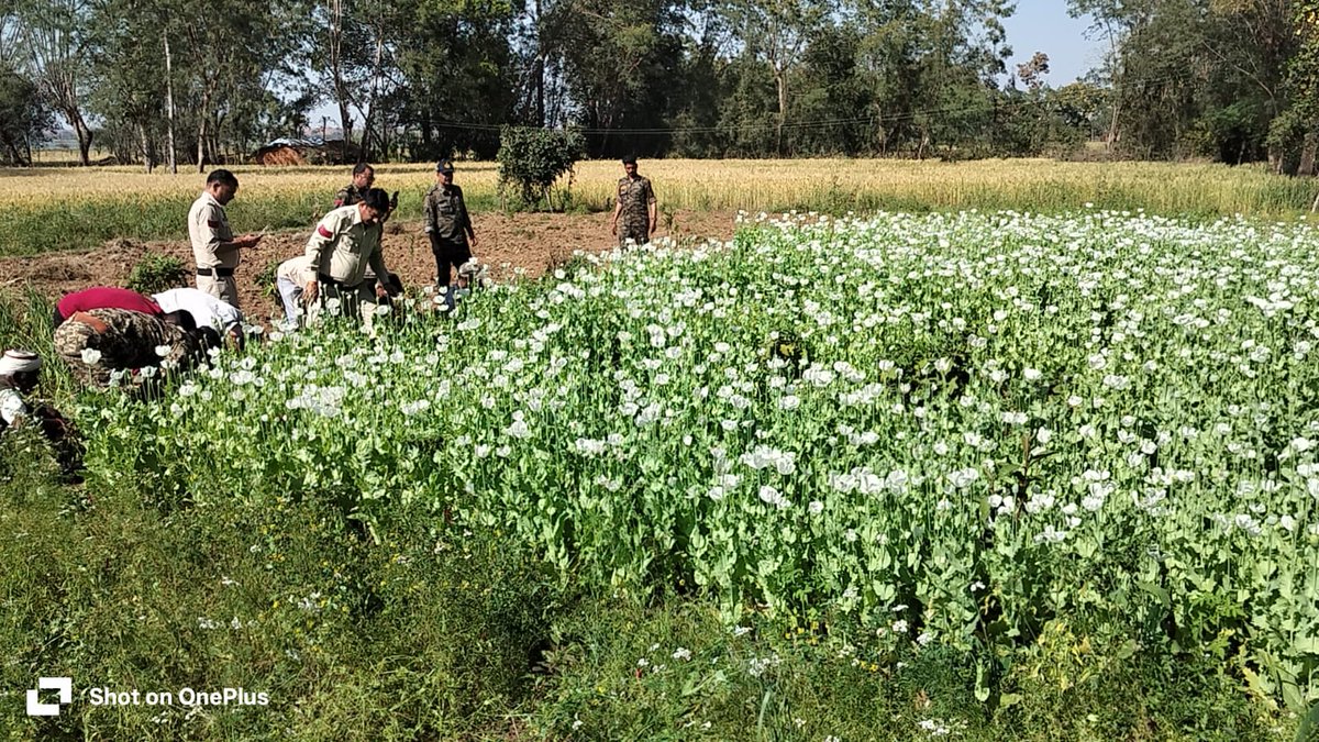Madhya Pradesh Police tweet media