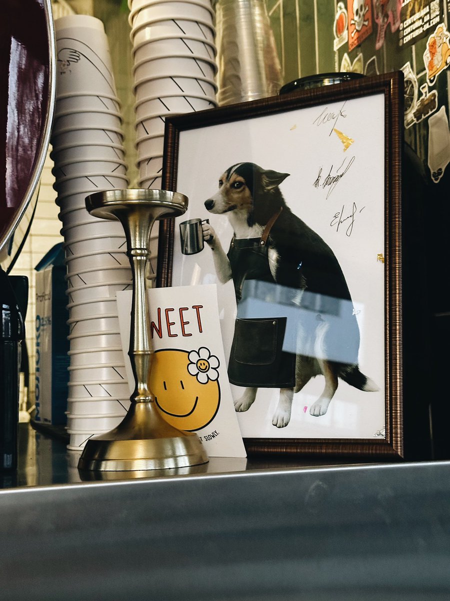 Kapitan Hrechka tweet media