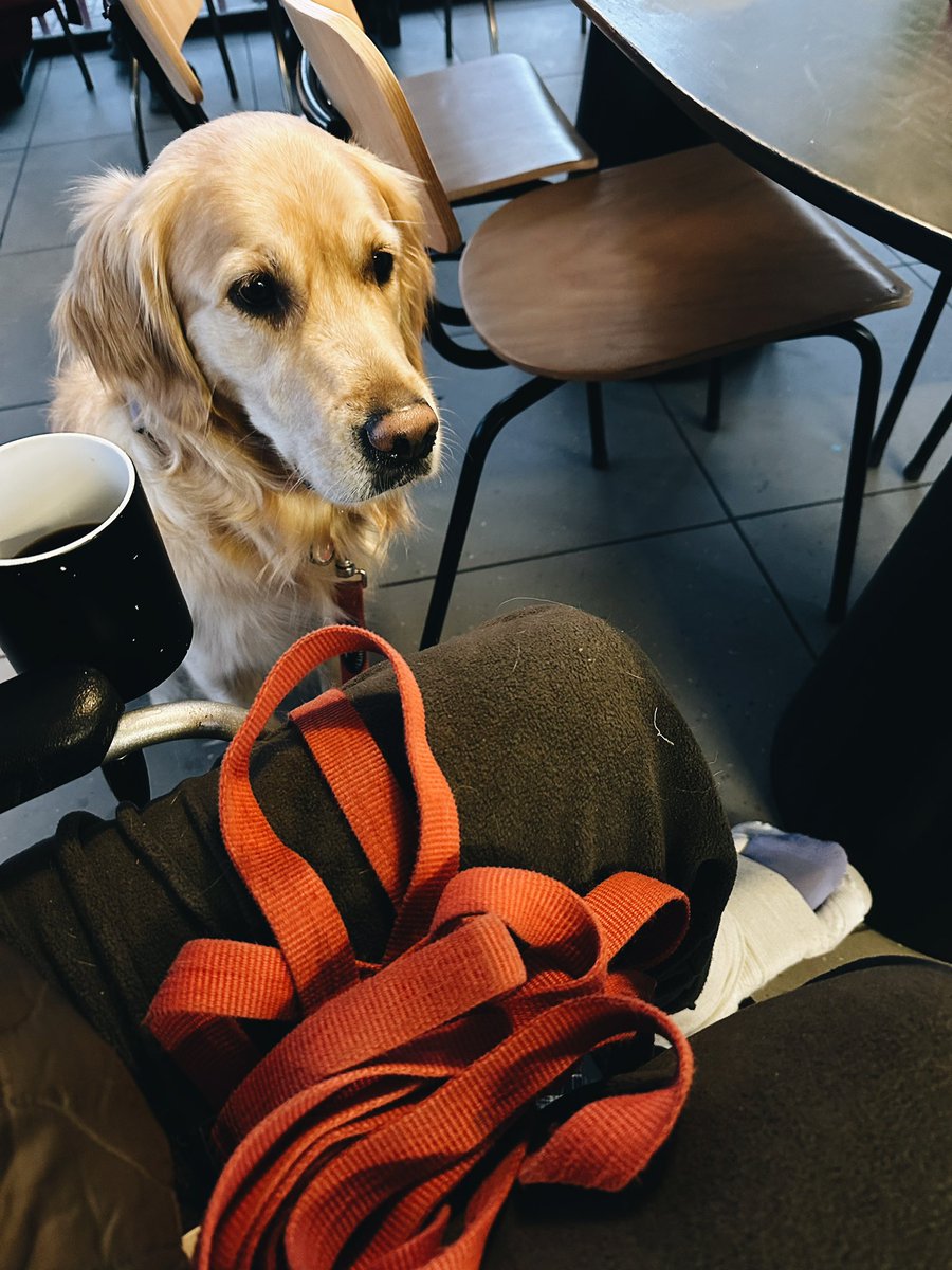 Kapitan Hrechka tweet media