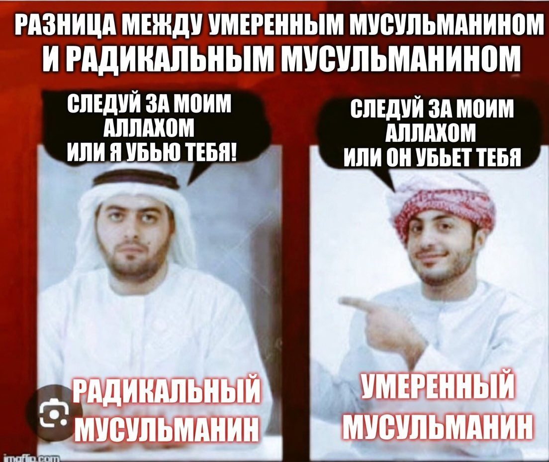 ChurchillMaverick tweet media