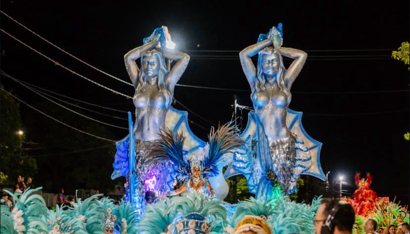 CARNAVAL DO BRASIL tweet media