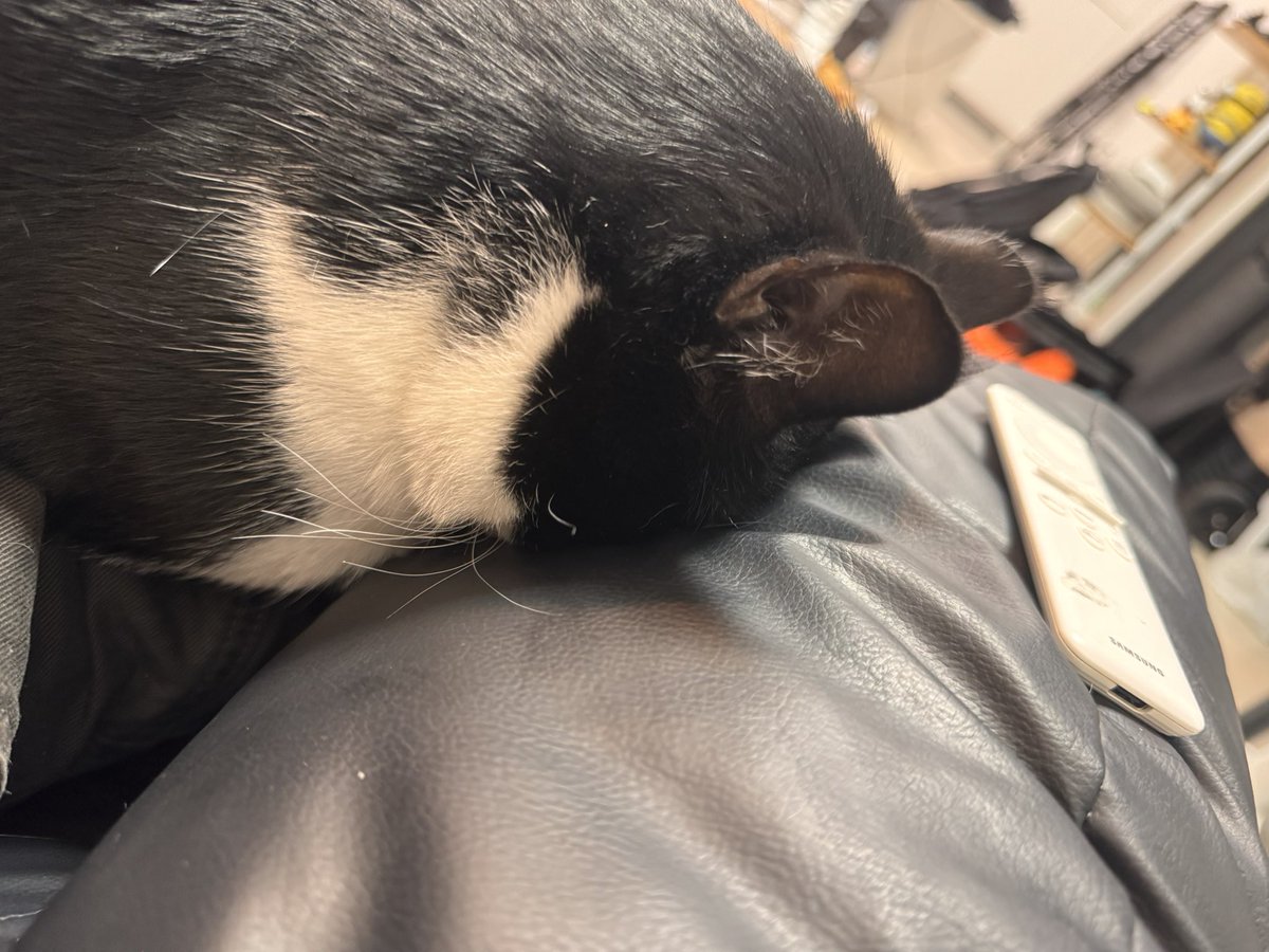 지미의 평범한 일상트 tweet media