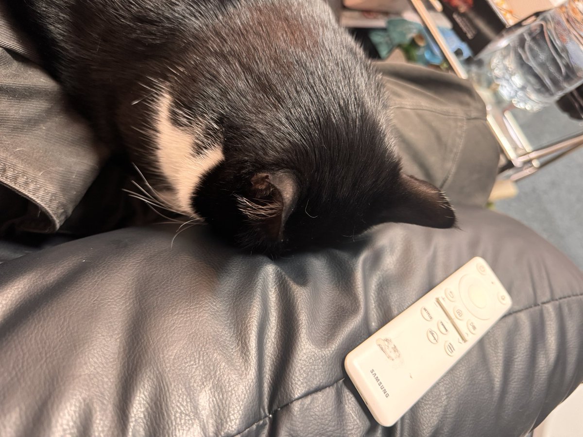 지미의 평범한 일상트 tweet media