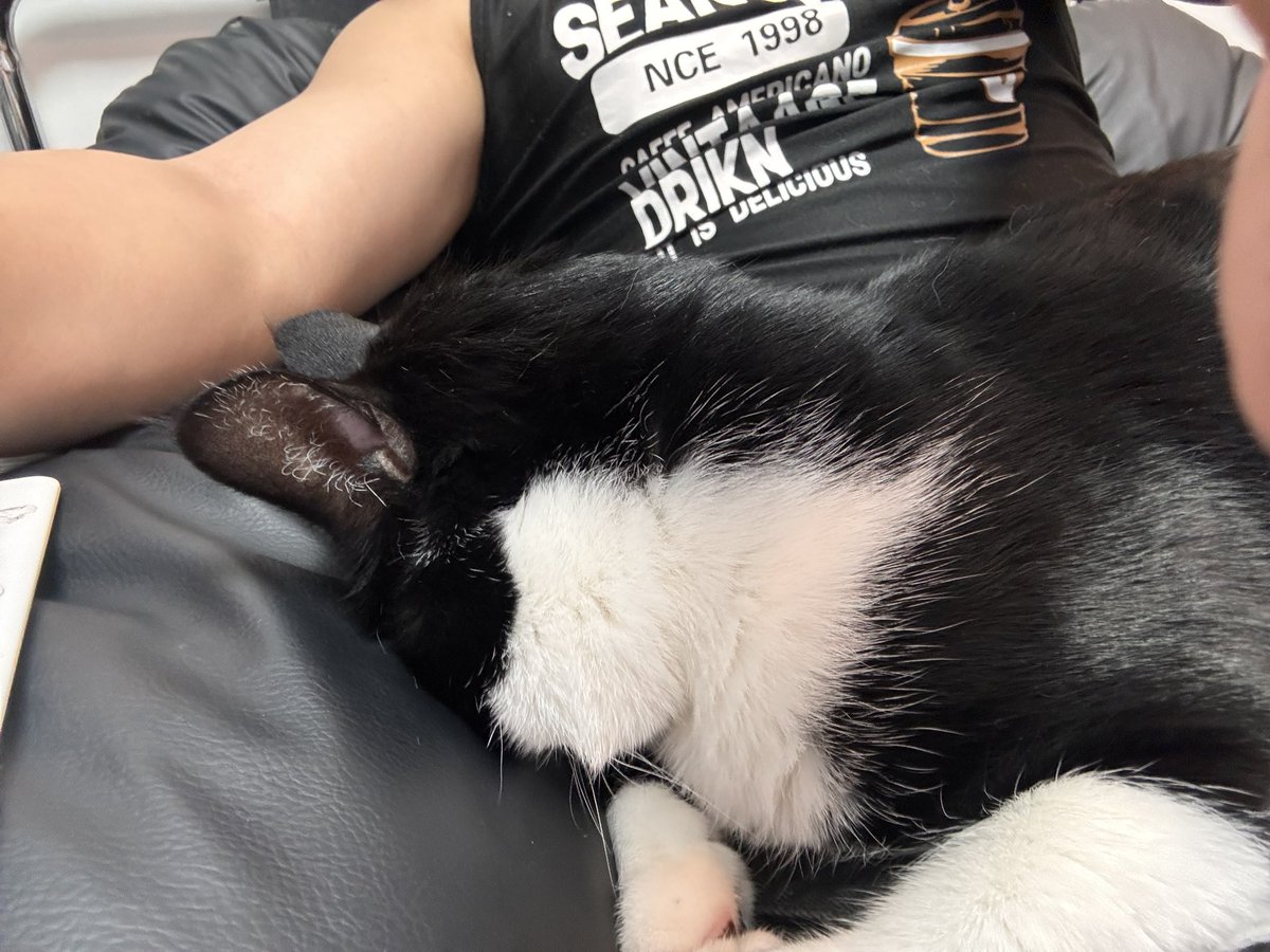 지미의 평범한 일상트 tweet media