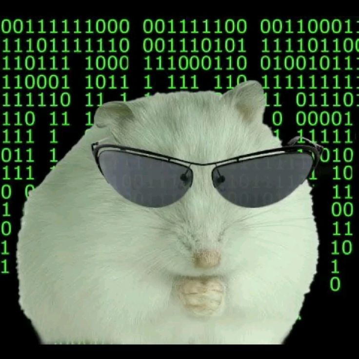 Miru 🦦 tweet media