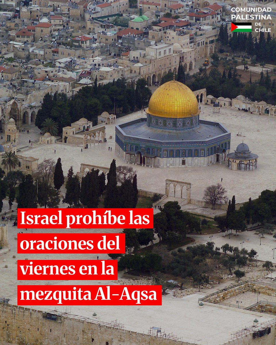 Comunidad Palestina de Chile tweet media