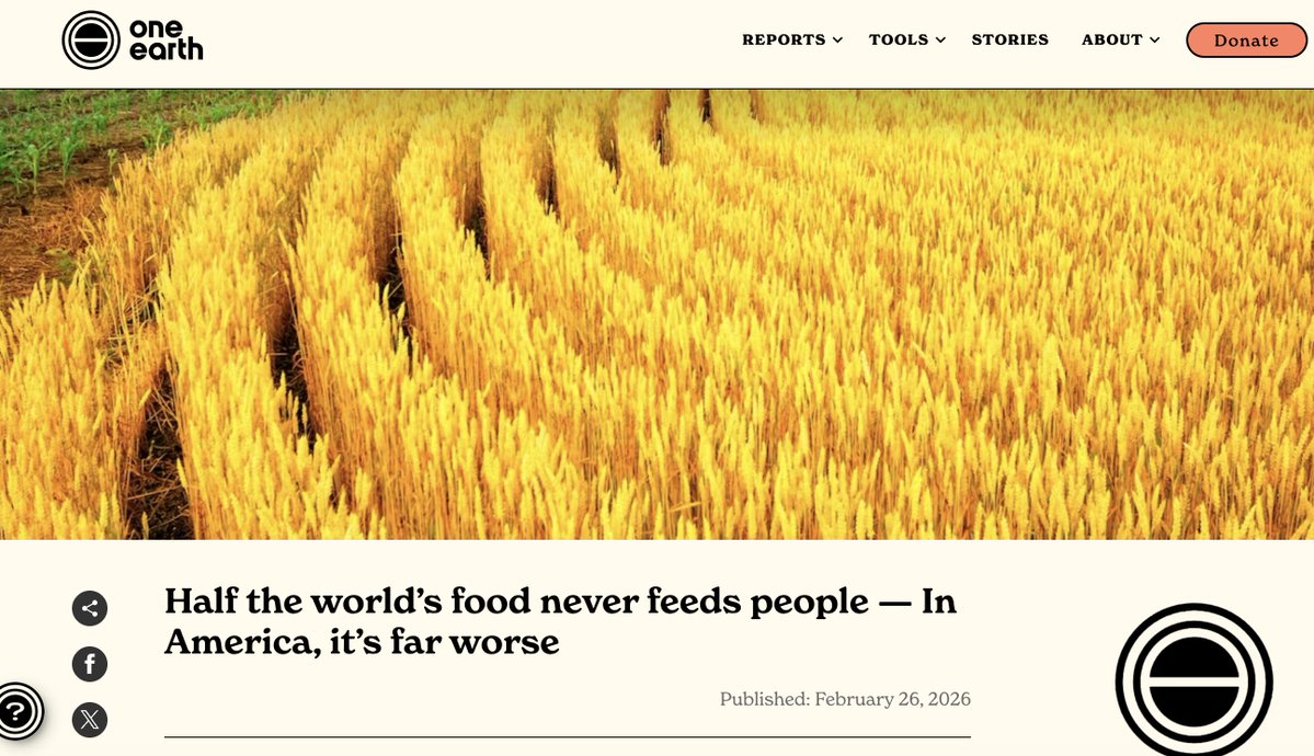 Ben Goldsmith tweet media