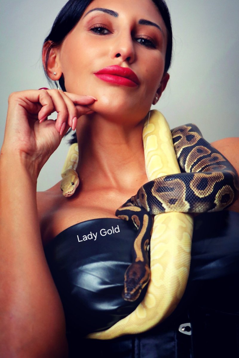 𝔽𝕖𝕥𝕚𝕤𝕙𝕕𝕚𝕧𝕒 Lady Gold tweet media